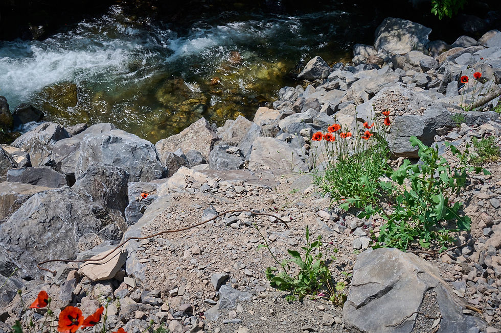 Ущелье Гарни, Симфония Камней