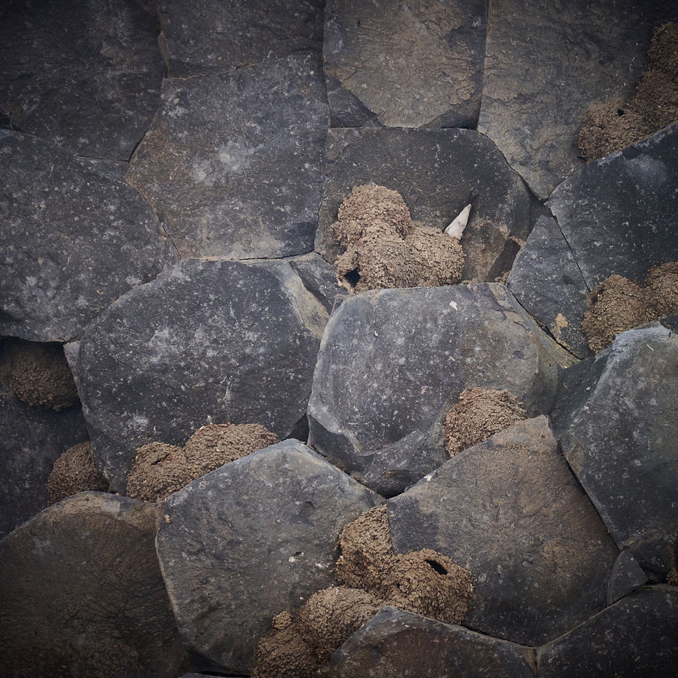 Ущелье Гарни, Симфония Камней