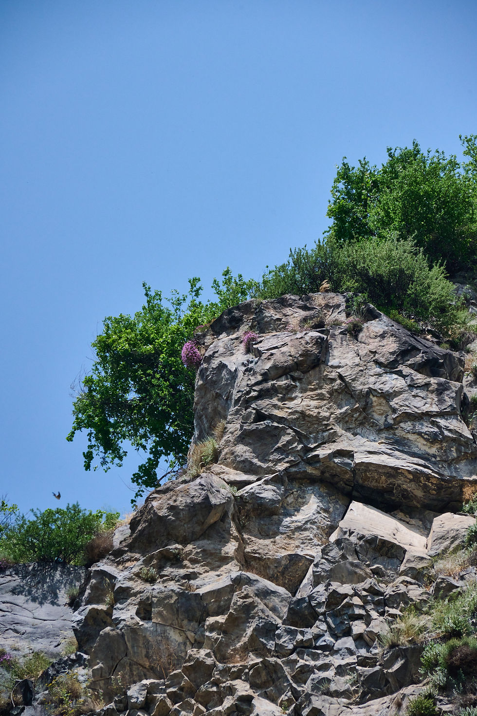 Ущелье Гарни, Симфония Камней