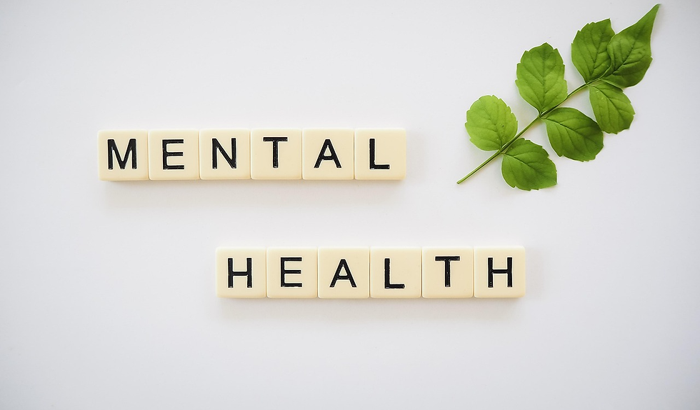 Scrabble-style tiles spelling MENTAL HEALTH beside green leaves on a white background, suggesting wellness.
