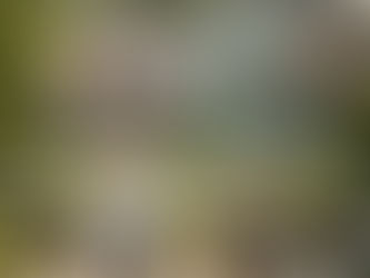 Two women sit outside discussing health. One with a laptop shows charts. Bubbles above show 'MYTHS' and 'MEDICAL FACTS.' Sunny, garden setting.