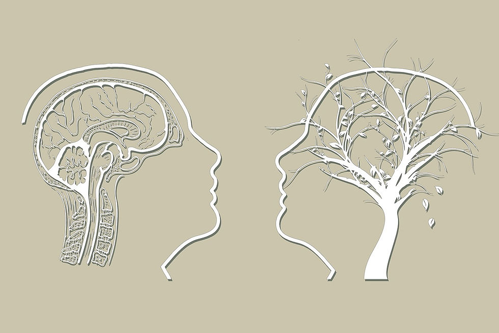 Two face outlines on beige background; one shows a brain, the other a tree with branches and leaves, symbolizing nature and intelligence.