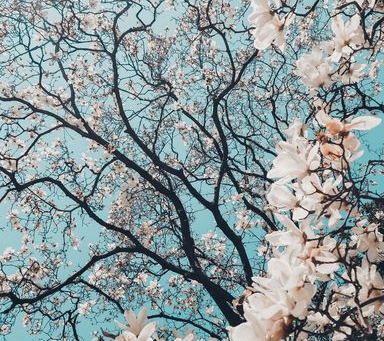 Spring 2026 Self-Care: Outpatient Therapy for Bel Air Renewal