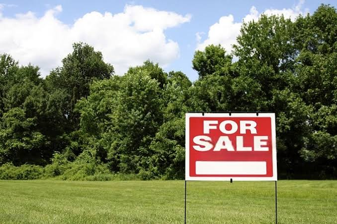 For Sale sign on a grassy lot with trees and blue sky in the background, suggesting land banking