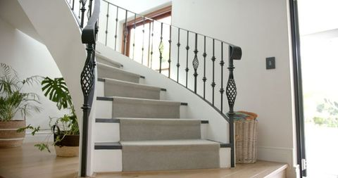 Elegant staircase with black railings, gray carpeted steps, and potted plants on a bright wooden floor. Sunlight streams through a window.