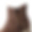 Thumbnail: Mod. 1638