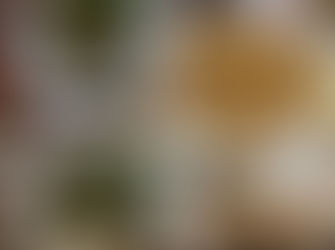 台湾式居酒屋に行ってみた!