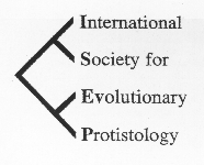 ISEP logo, 2002