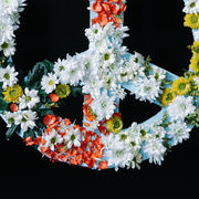 Embracing Peace Over War The Role of Emotional Intelligence in Achieving Prosperity and Health