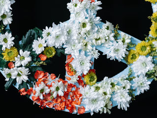 Embracing Peace Over War The Role of Emotional Intelligence in Achieving Prosperity and Health