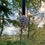 Thumbnail: Pinecone Hanging Decoration