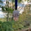 Thumbnail: Pinecone Hanging Decoration