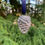 Thumbnail: Pinecone Hanging Decoration