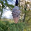 Thumbnail: Pinecone Hanging Decoration