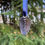 Thumbnail: Pinecone Hanging Decoration