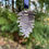Thumbnail: Pinecone Hanging Decoration