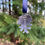 Thumbnail: Pinecone Hanging Decoration