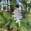Thumbnail: Pinecone Hanging Decoration
