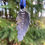 Thumbnail: Pinecone Hanging Decoration