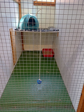 cat pen