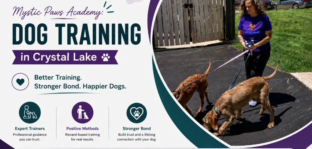 Mystic Paws Academy