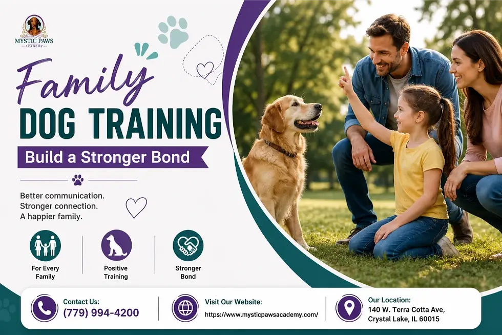 Family Dog Training