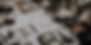ChatGPT Image May 6, 2026, 03_14_34 PM.png