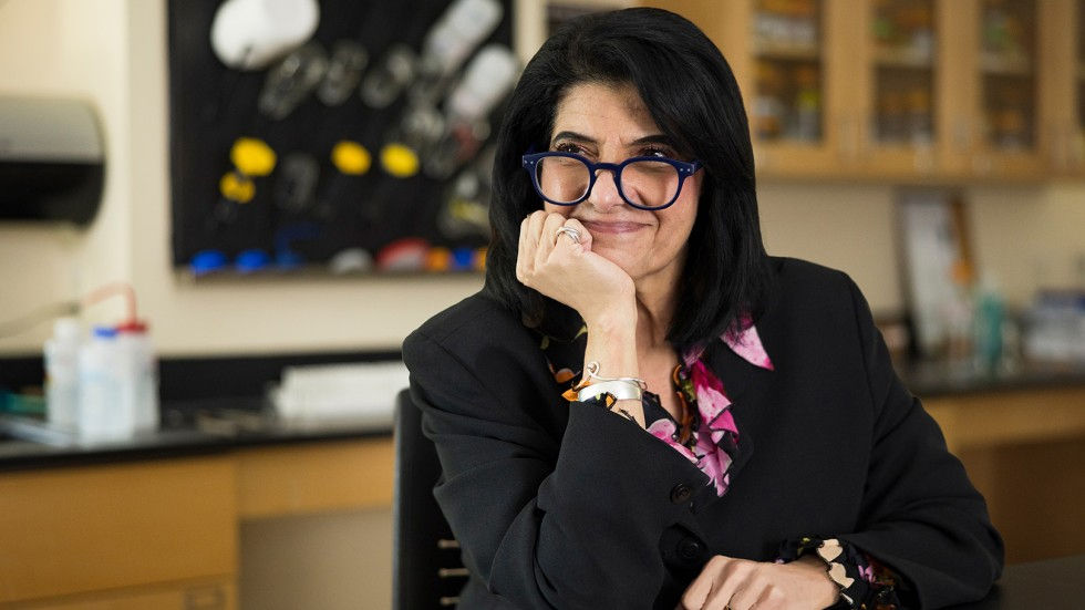 The Global and Cellular Significance of Environment and Tumor Dynamics on Disease Progression - Gordon Research Conference