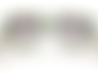 Lunettes Nemezis Paris disponibles chez Aria Optic opticien à Arras