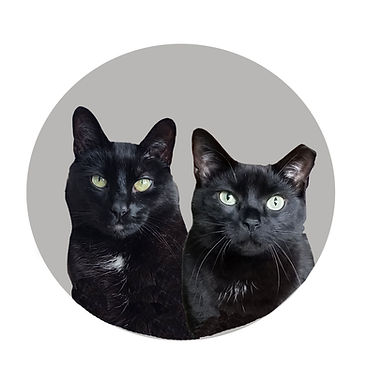 Kitties Mock Up.jpg