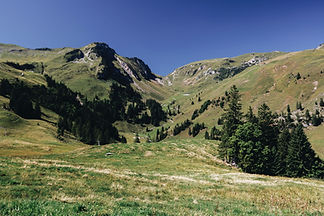 F578BDF8-884B-42C5-9EEF-65A0F229ADCA.jpg