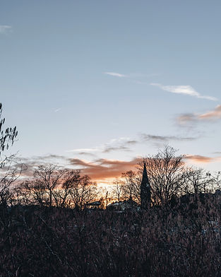 460D6033-F440-4781-B99F-CD0F4E24DE94.jpg
