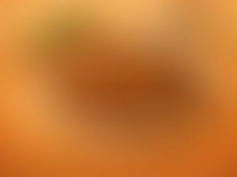 A Deeply Savoury Classic for Slow Meals: Braised Duck