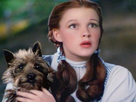 "We're Not in Kansas Anymore"