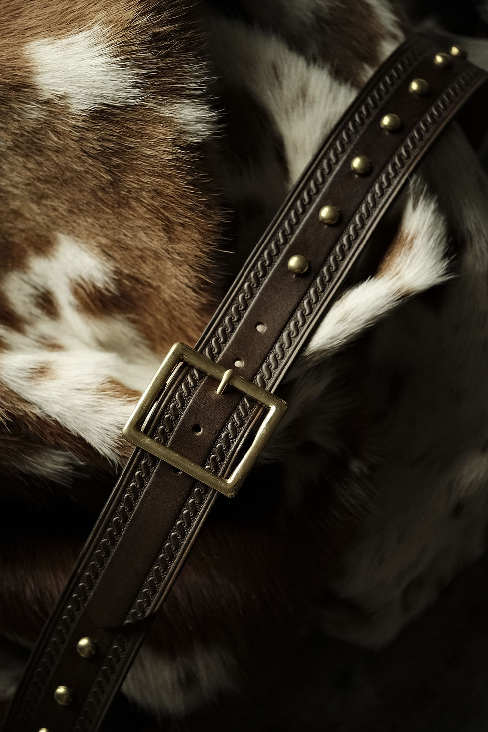 Serpentine Spotted Garrison