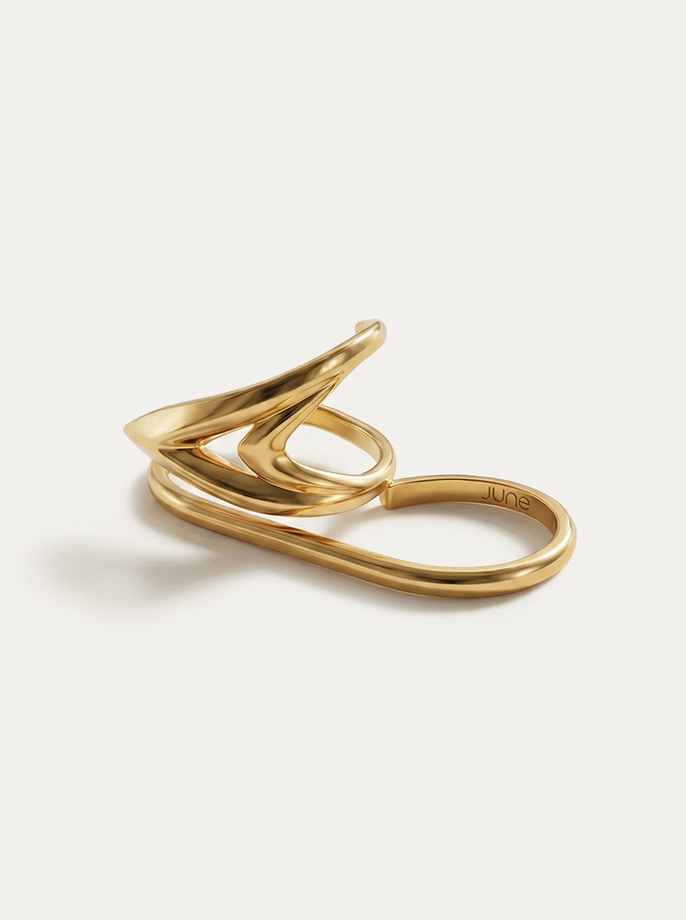 ring 1 (1).png