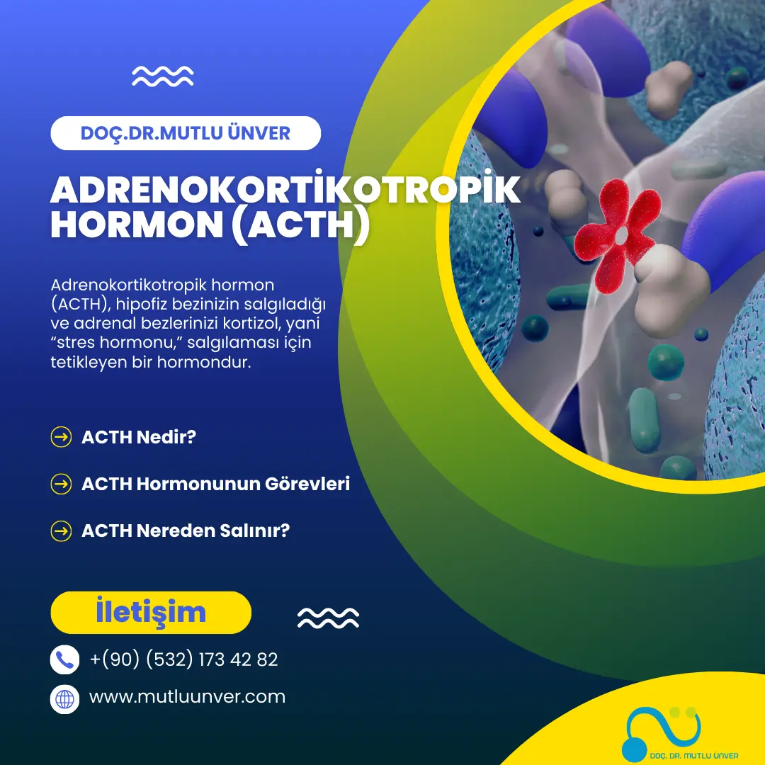 ACTH (Adrenokortikotropik Hormon) ve Diğer Hastalıklar ile Bağlantısı