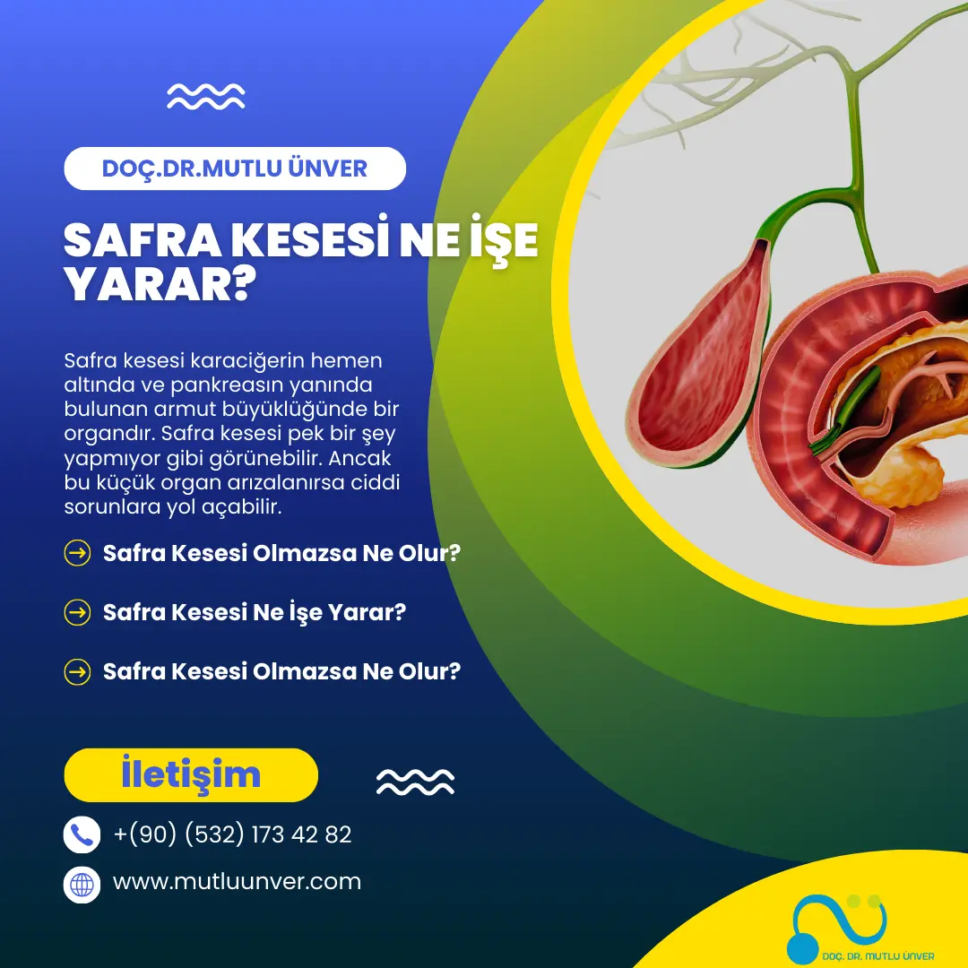 safra kesesi ne işe yarar