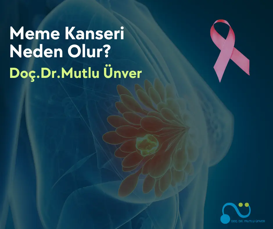 İzmir - Meme Kanseri ve Cerrahisi