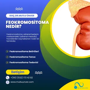 Feokromositoma (Böbrek Üstü Bezi Tümörü) Nedir? Belirtileri, Tedavisi