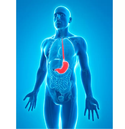 The 5 Things You Should Know About Stomach (Gastric) Botox