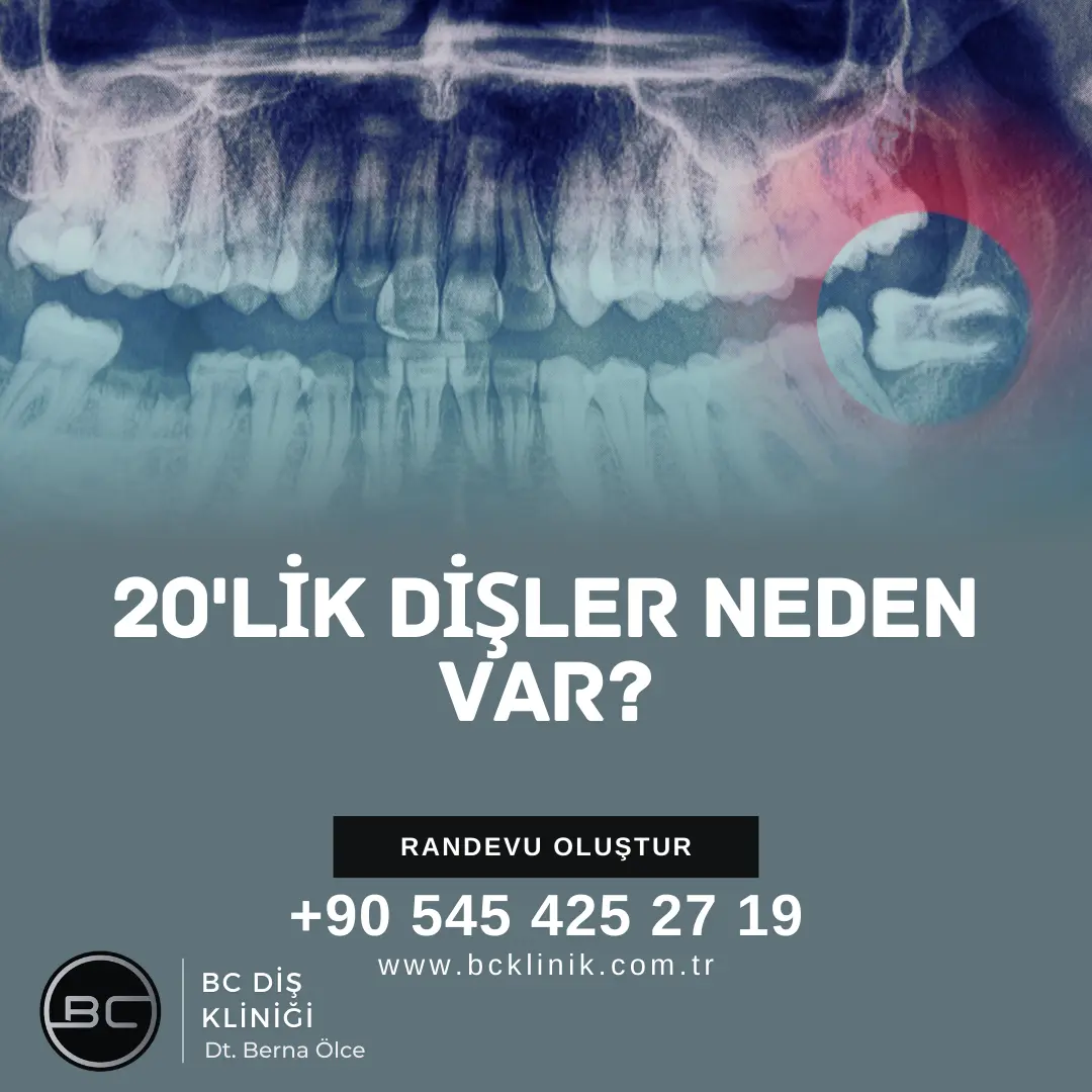 yirmilik diş neden var