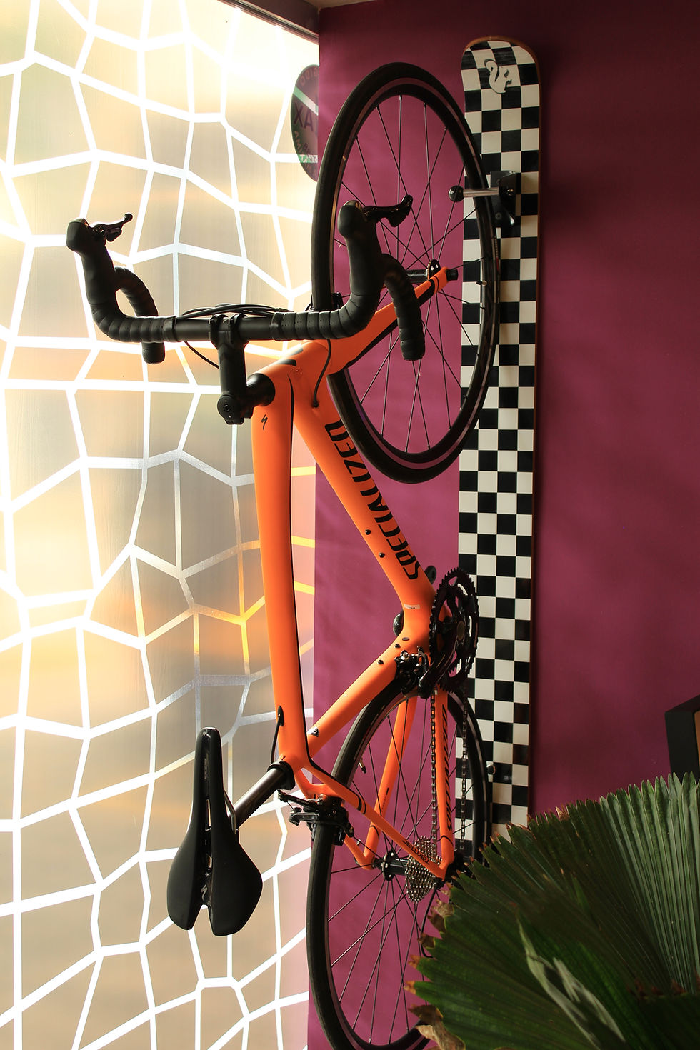 Miniatura: BikeBoard® Xadrez