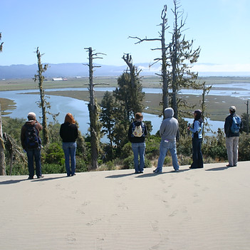 edge of forest.JPG