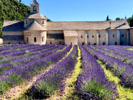 France's Flowers