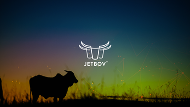 JetBov | PitchDeck