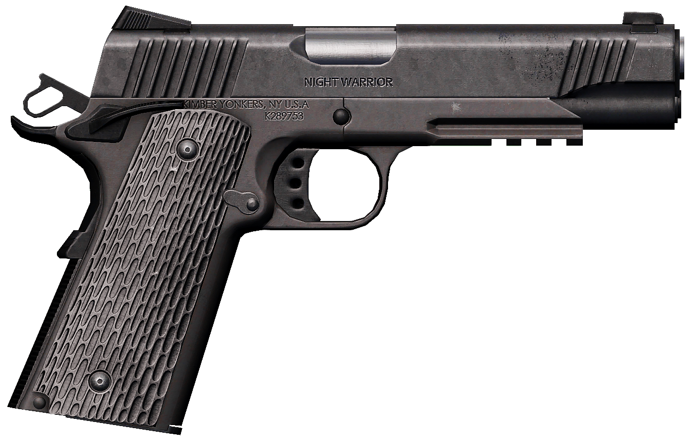 Kimber Night Warrior
