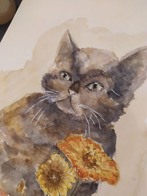 chat