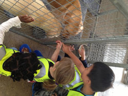 visit to guide dogs centre  chigwell 1