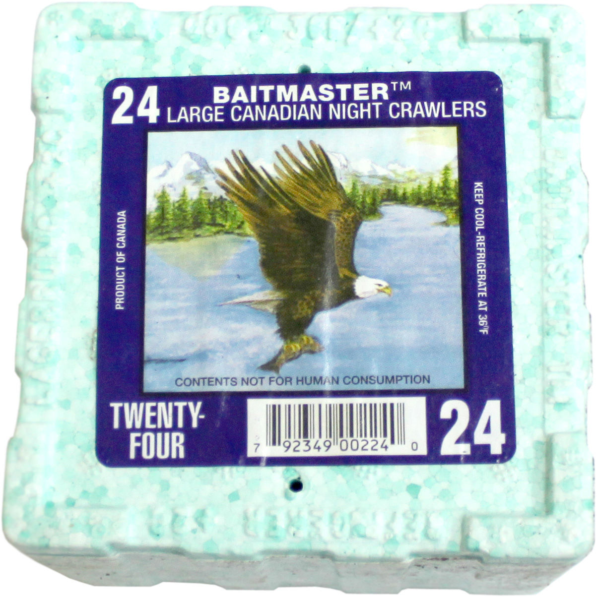 Kanadische Tauwürmer 24Stk.